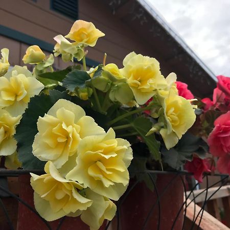 A Hyde Away Inn B&B Ток Екстериор снимка